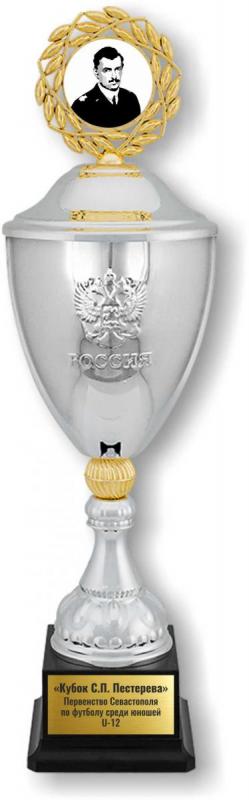 Кубок победителя Первенства города по футболу среди юношей