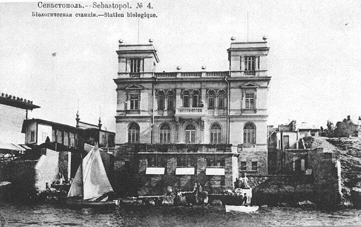 Нынешний аквариум