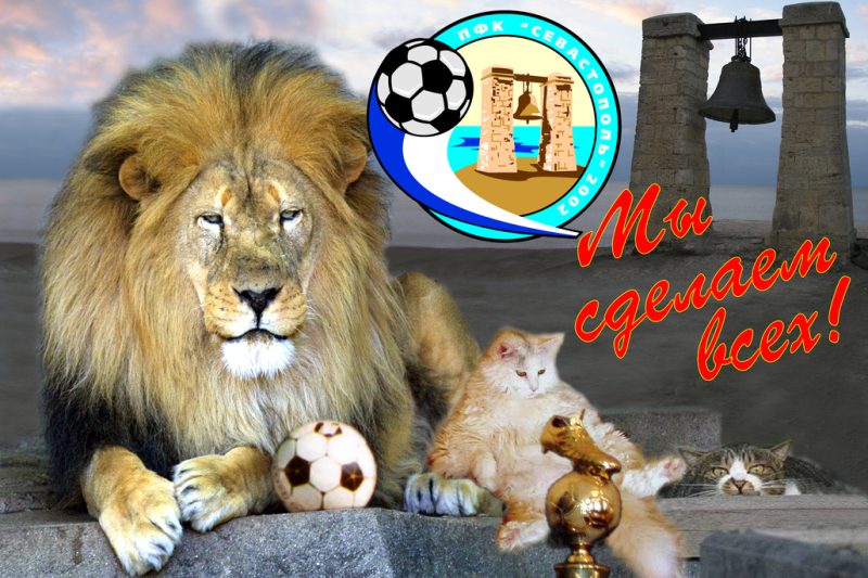 Мы сделаем всех