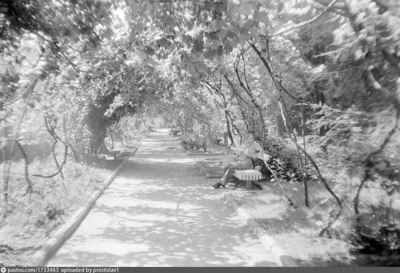 Аллея Приморского бульвара. Между театром Луначарского и Дворцом пионеров. 1977 г.