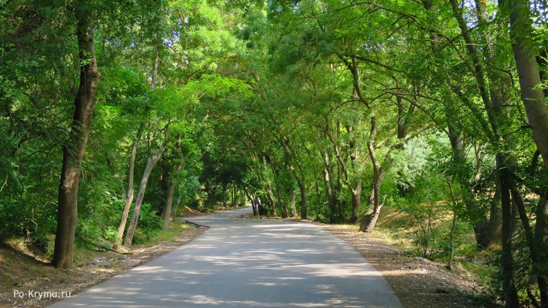 Аллея в Ушаковой балке.