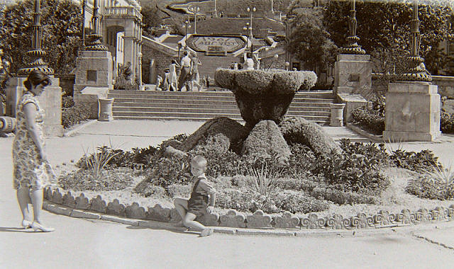 Декоративные зеленые украшения на площадке между театром Луночарского и гостиницей Севастополь. 1961 г.