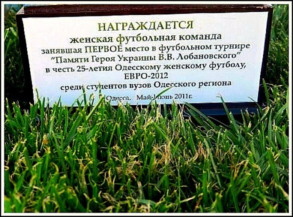 Диплом победителя турнира памяти В. В. Лобановского