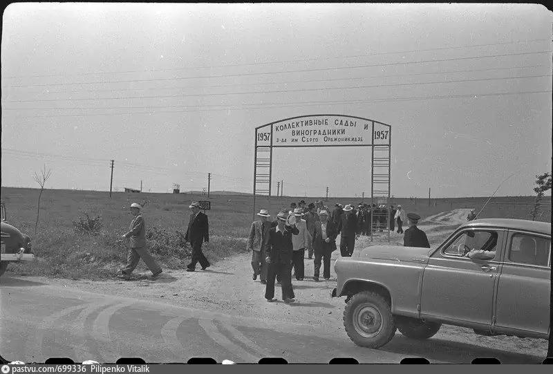 Коллективные сада работников Севморзавода. 1957 г.