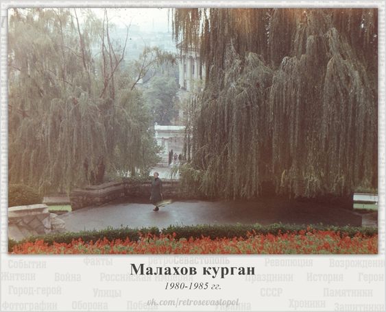 Малахов курган. Ивы.