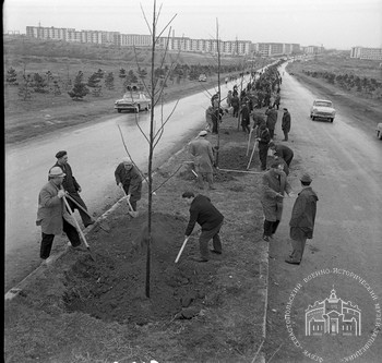 Проспект генерала Острякова. Закладка аллеи в честь 100-летия с дня рождения Ленина. 1970 г.