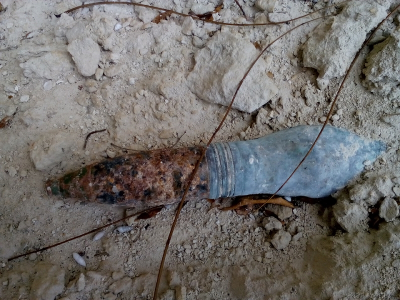 Шампаны сегодня. Привет из 1942 года!