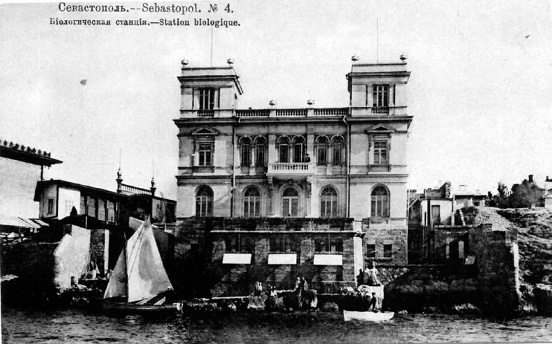 Севастопольская биологическая станция. Начало 20-го века