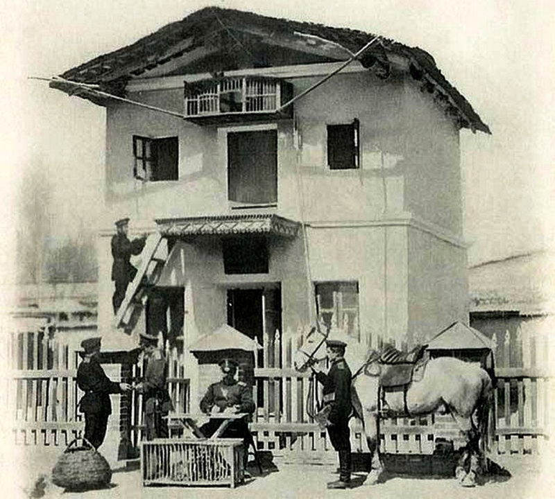 Станция голубиной почты. 1910 г.