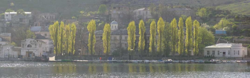 Тополи в Балаклаве