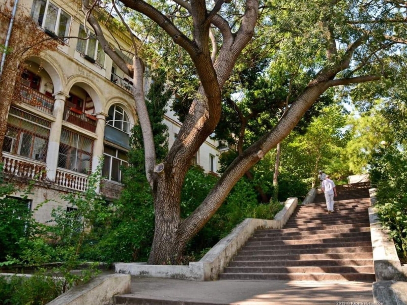 Трап от площади Суворова на городской холм