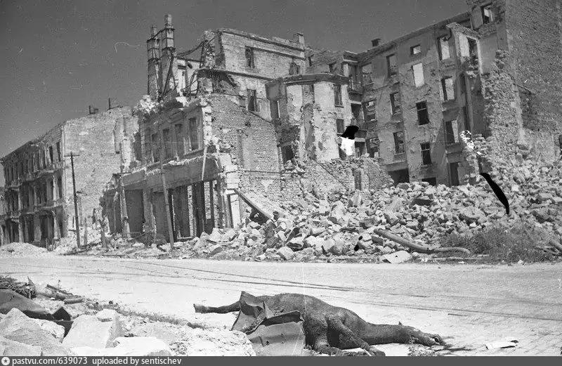 Улица Фрунзе (проспект Нахимова). 1944 г.