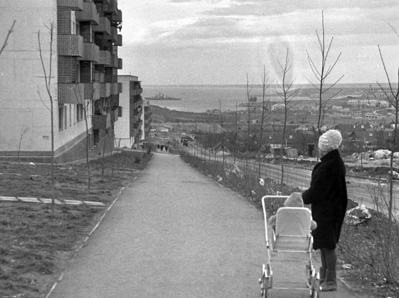 Улица Репина. Вдали БТК и Мартышкины уши