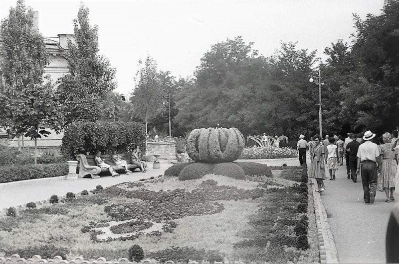 Зеленые насаждения на аллее Приморского бульвара