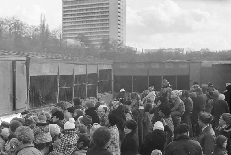 Зверинец на Пожарова