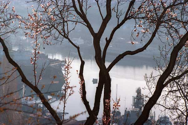 mindal_yuzhnaya_buhta